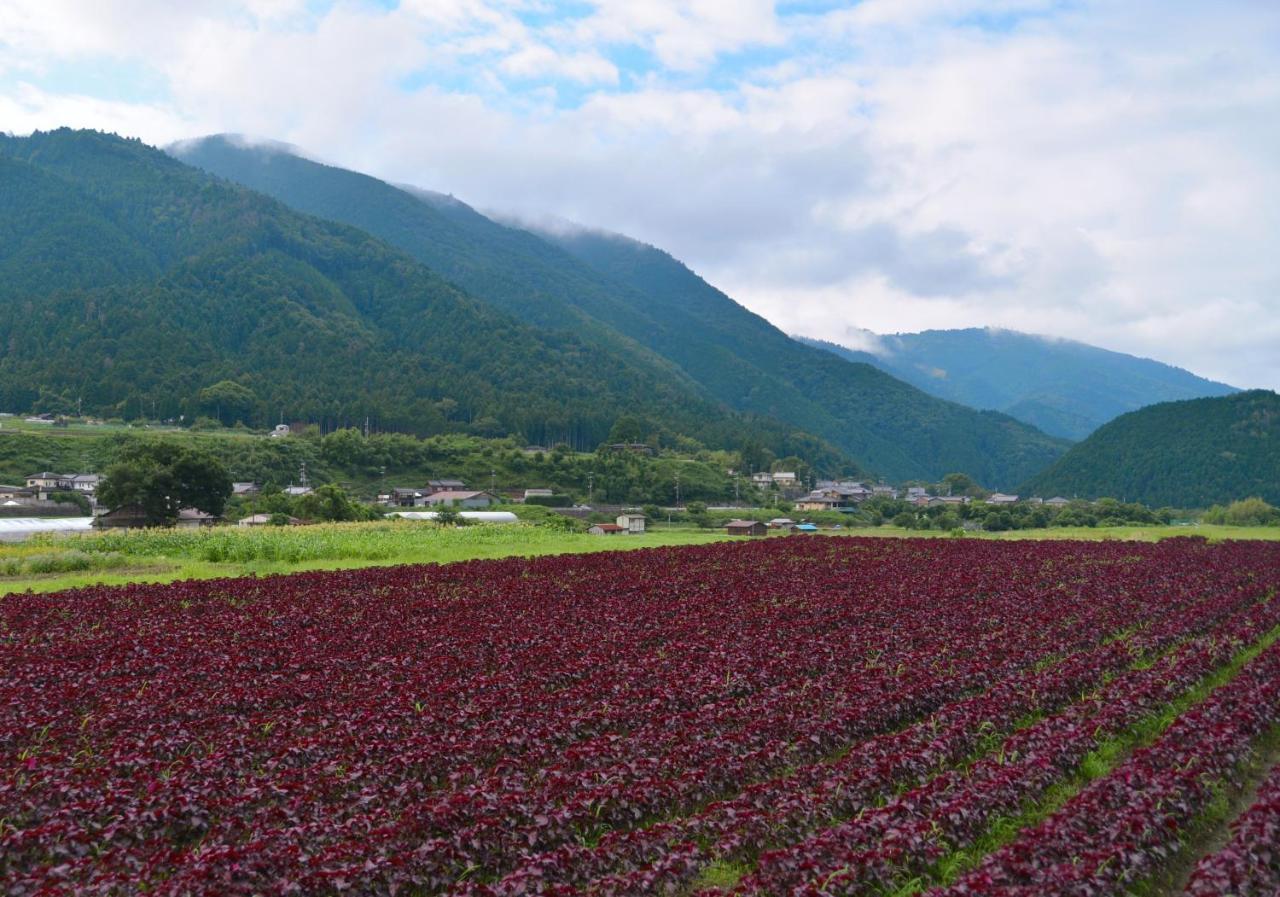 Ohara Sensui Surrounded By Beautiful Nature Kyoto